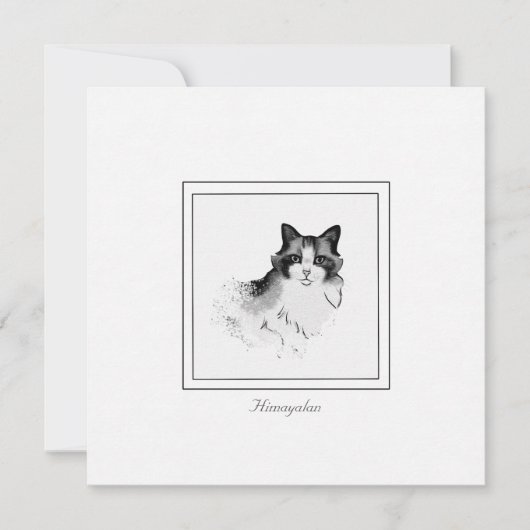 Zwarte, grijze en witte himalaya Kat-platte briefk Notitiekaartje (Voorkant)