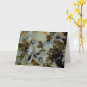 "Zwarte & Groene Olijven" Beterschapkaart Kaart (Gele Bloem)