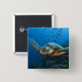 Zwarte (Groene) Schildpad (Chelonia agassizi) Vierkante Button 5,1 Cm (Voorkant /achterkant)