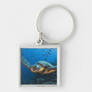 Zwarte (Groene) Zeeschildpad (Chelonia agassizi) Sleutelhanger