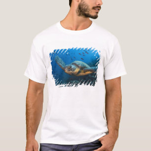 Zwarte (Groene) Zeeschildpad (Chelonia agassizi) T-shirt