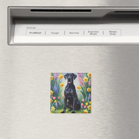 Zwarte Grote Deen Hond Spring Bloemen Schilderen Magneet (Insitu (Vaatwasser))