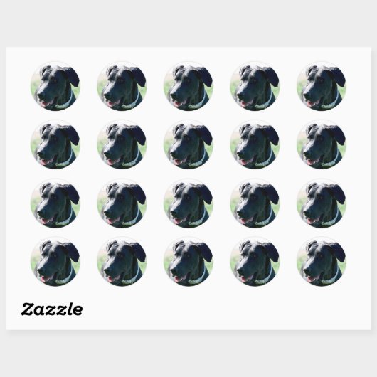 Zwarte Grote Deense stickers (Vel)
