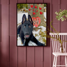 Zwarte GSD-puppy met harten en grote liefde Valent