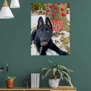 Zwarte GSD-puppy met harten en grote liefde Valent Poster