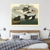 Zwarte Guillemot uit Audubon's Birds of America Canvas Afdruk (Insitu (Slaapkamer))
