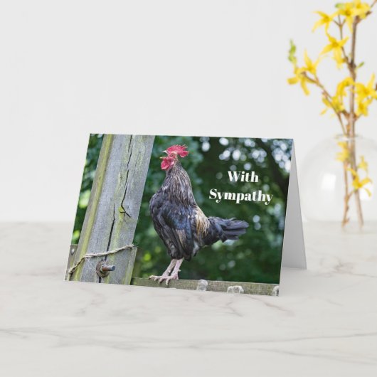  Zwarte Haan Kraaien Foto Sympathie Kaart (Gele Bloem)