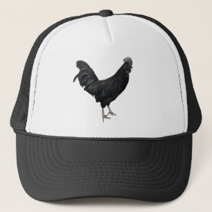 zwarte-haan-pet trucker pet