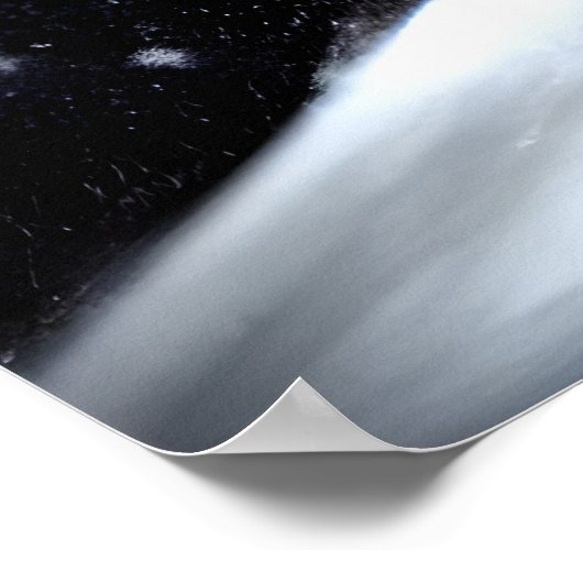 zwarte haarjas in de sneeuwberg AI Art Poster (Hoek)