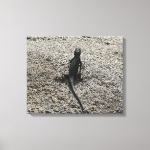 Zwarte Hagedis Canvas Afdruk