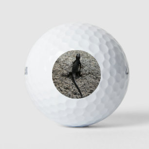 Zwarte Hagedis Golfballen