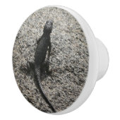Zwarte Hagedis Keramische Knop (Rechts)
