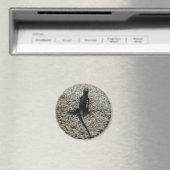 Zwarte Hagedis Magneet (Insitu (Vaatwasser))