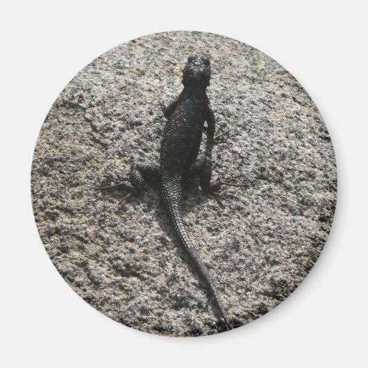 Zwarte Hagedis Magneet (Voorkant)