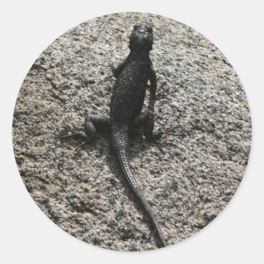 Zwarte Hagedis Ronde Sticker (Voorkant)