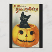  zwarte halloween kat in een pompoen briefkaart (Voorkant)