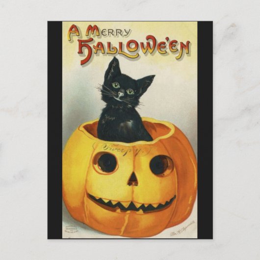  zwarte halloween kat in een pompoen briefkaart (Voorkant)