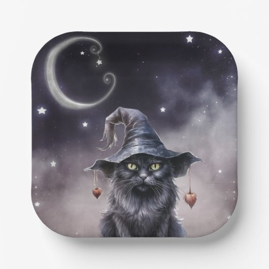Zwarte Halloween kat met een heks Pet Papieren Bordje (Voorkant)