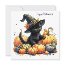 Zwarte Halloween kitten met pompoenen en heksenhoe