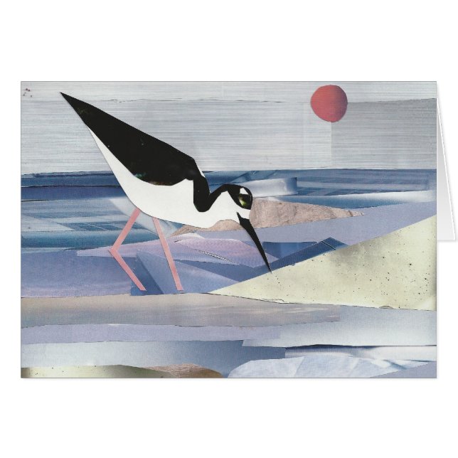 Zwarte hals Stilt (Voorkant Horizontaal)