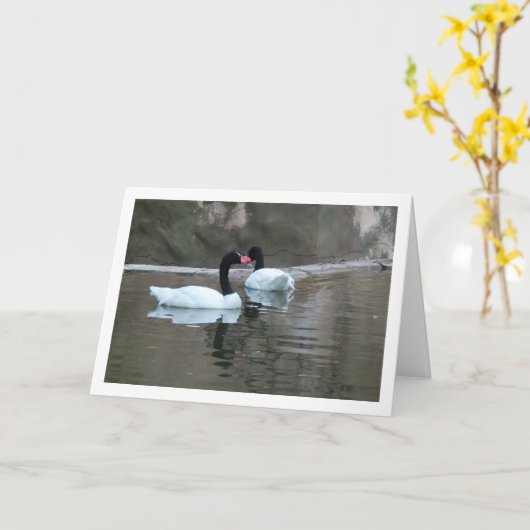 Zwarte Halszwanen Kaart (Gele Bloem)