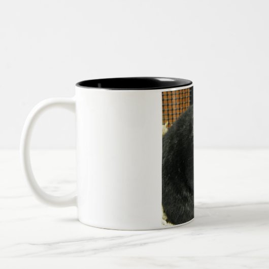Zwarte hamster tweekleurige koffiemok (Links)