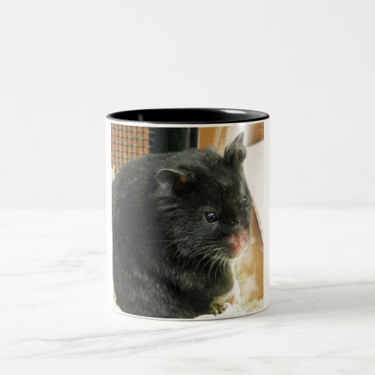 Zwarte hamster tweekleurige koffiemok (Center)