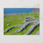 Zwarte haven, Inis Mor, Aran Islands, Ierland Briefkaart (Voorkant)