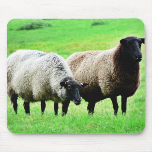 Zwarte heide schapen muismat