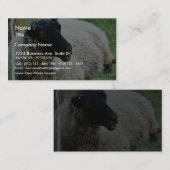 Zwarte heide schapen op gras visitekaartje (Voorkant / Achterkant)