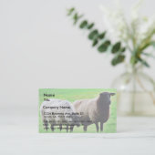 Zwarte heide schapen visitekaartje (Staand voorkant)