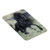 Zwarte hengst van het "Friessische Storm" in het z Magneet (Rechterzijde)