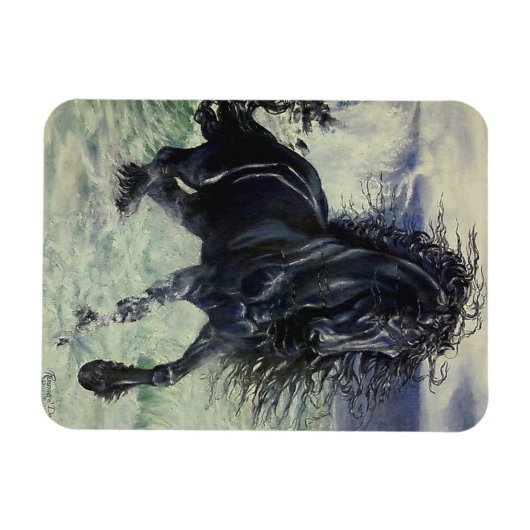 Zwarte hengst van het "Friessische Storm" in het z Magneet (Horizontaal)