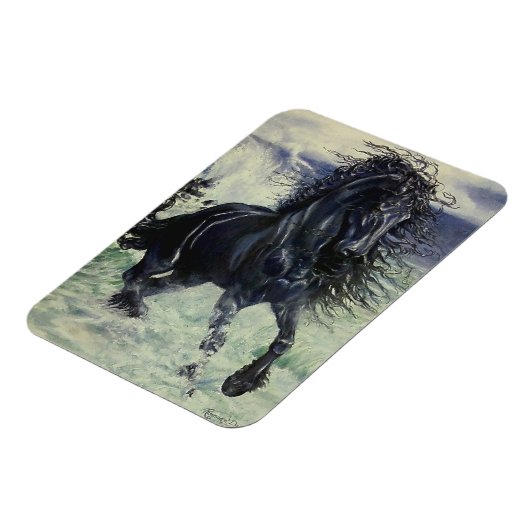 Zwarte hengst van het "Friessische Storm" in het z Magneet (Linkerzijde)