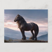 Zwarte hengst Wild Horse Mountain Top Briefkaart (Voorkant)