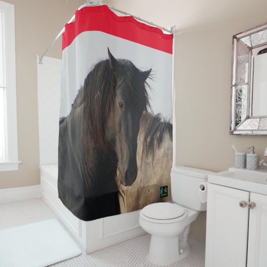 ZWARTE HENGST WILD PAARD MAGE DOUCHE GORDIJN (In situ)