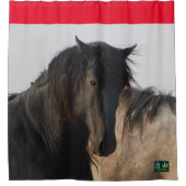 ZWARTE HENGST WILD PAARD MAGE DOUCHE GORDIJN (Voorkant)