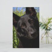 zwarte herder briefpapier (Staand voorkant)