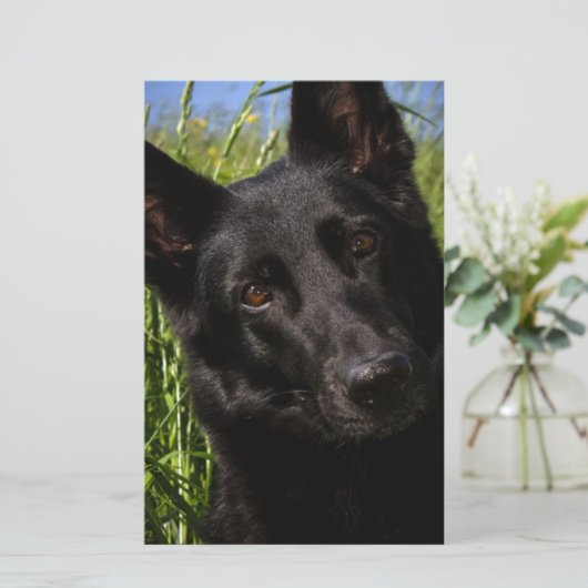 zwarte herder briefpapier (Staand voorkant)