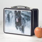 Zwarte herder in het Hoesje van de sneeuwdekooter (In situ)