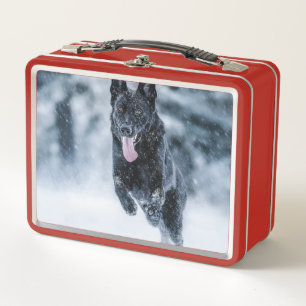 Zwarte herder in het Hoesje van de sneeuwdekooter