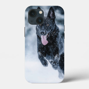 Zwarte herder in het Hoesje van de sneeuwdekooter