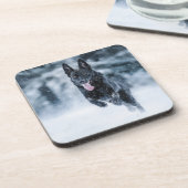 Zwarte herder in het Hoesje van de sneeuwdekooter Bier Onderzetter (Linkerzijde)