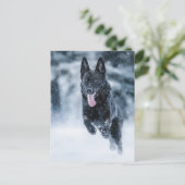 Zwarte herder in het Hoesje van de sneeuwdekooter Briefkaart (Staand voorkant)