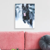 Zwarte herder in het Hoesje van de sneeuwdekooter Canvas Afdruk (Insitu (Woonkamer))