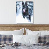 Zwarte herder in het Hoesje van de sneeuwdekooter Canvas Afdruk (Insitu (Slaapkamer))