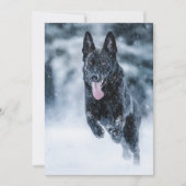 Zwarte herder in het Hoesje van de sneeuwdekooter Feestdagenkaart (Voorkant)