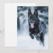 Zwarte herder in het Hoesje van de sneeuwdekooter Feestdagenkaart (Voorkant / Achterkant)