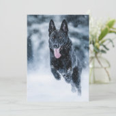 Zwarte herder in het Hoesje van de sneeuwdekooter Feestdagenkaart (Staand voorkant)