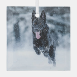 Zwarte herder in het Hoesje van de sneeuwdekooter Glas Ornament